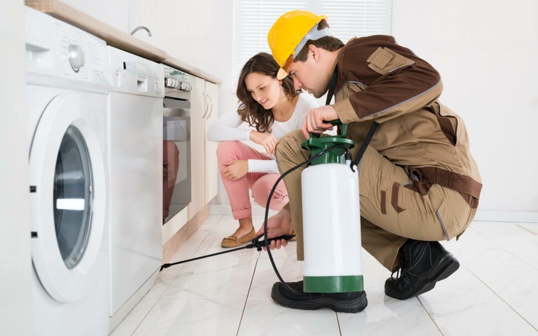 dératiseur professionnel hygiène nuisible