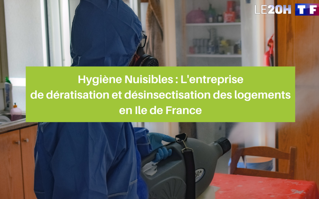 dératisation et désinsectisation