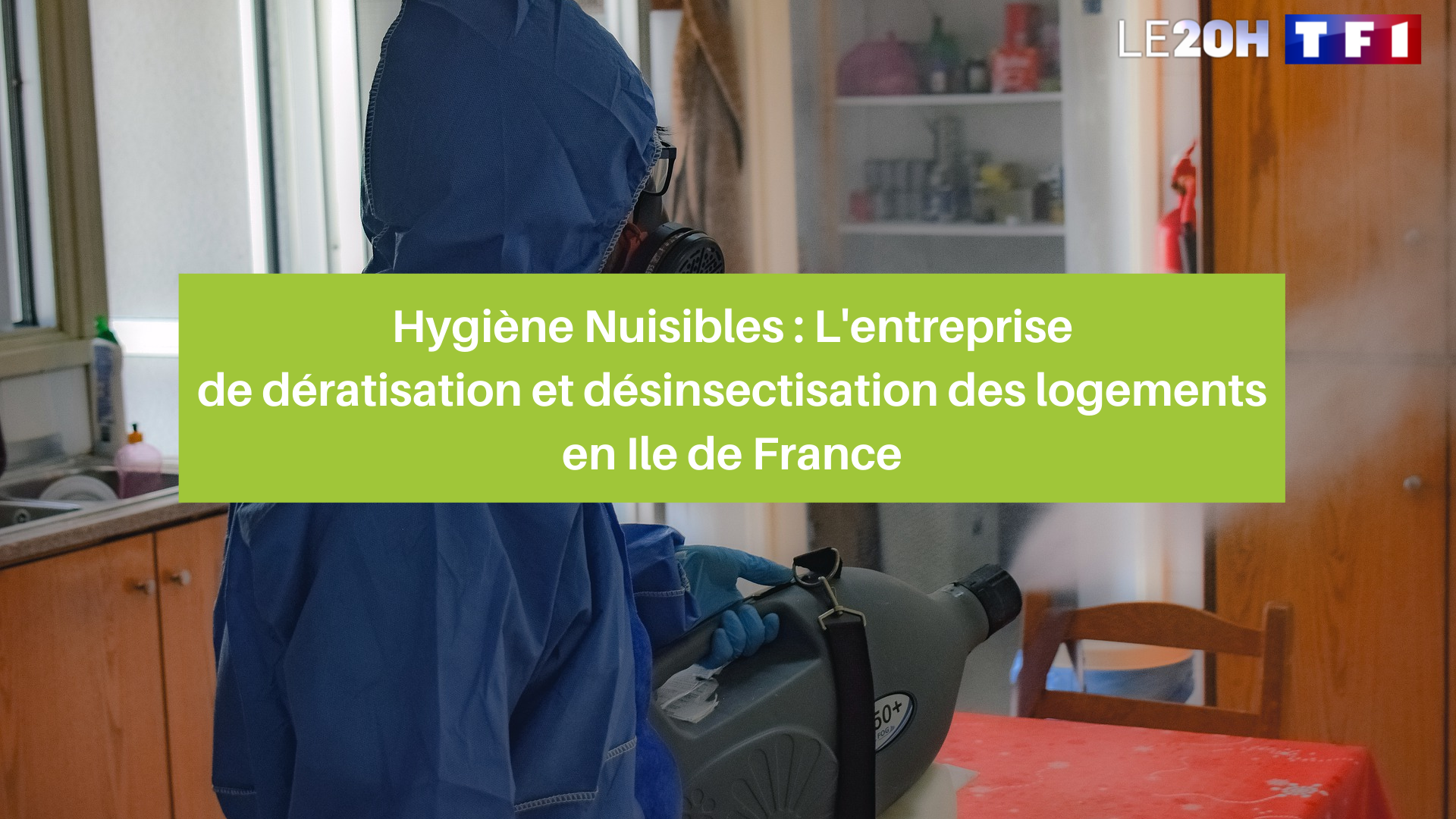 dératisation et désinsectisation