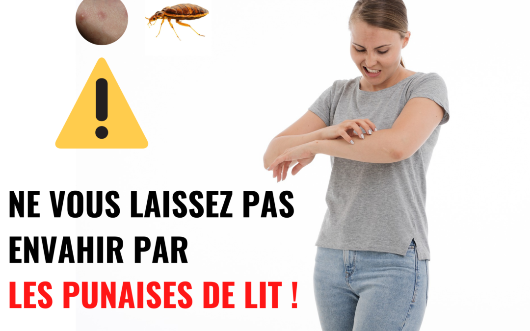 traitement anti punaises de lit hygiène nuisibles