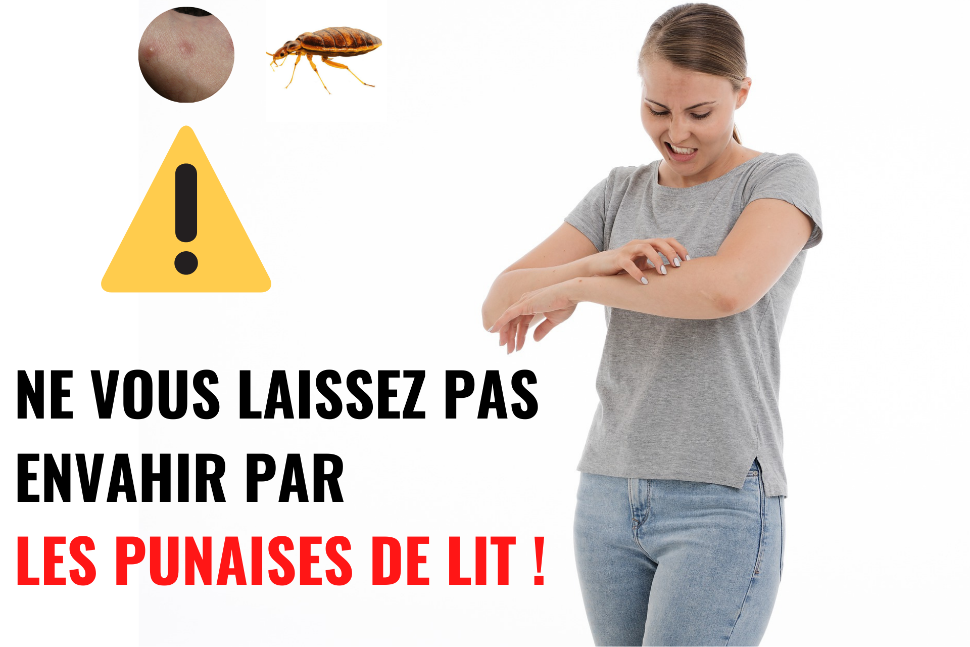 NE-VOUS-LAISSEZ-PAS-ENVAHIR-PAR-LES-PUNAISES-DE-LIT-1 traitement anti punaises de lit hygiène nuisibles