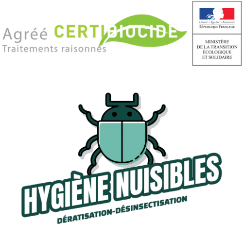 S.A.R.L Groupe Hygiène nuisibles : Société d'extermination d'insectes nuisibles