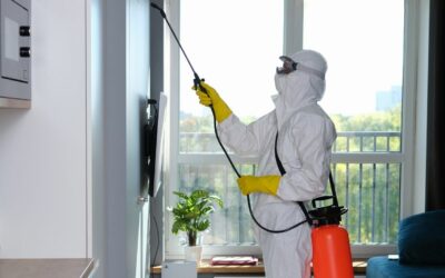 Comment choisir un désinsectisateur ?