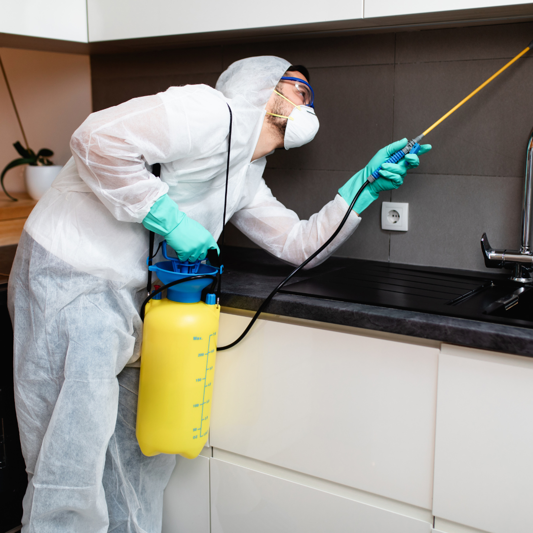 Prévenir les infestations de nuisibles