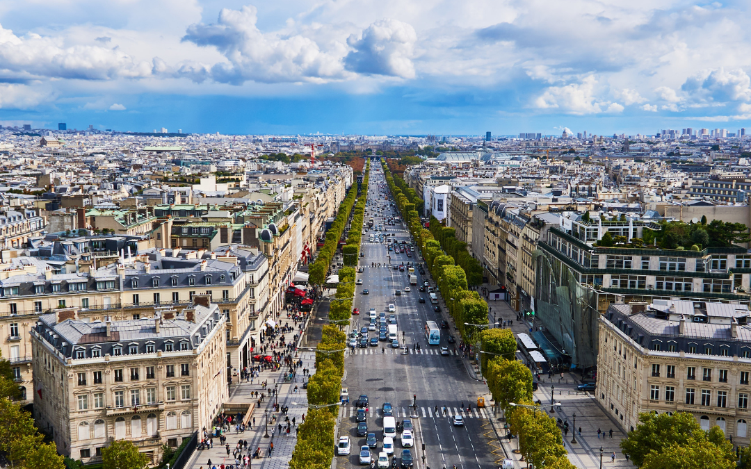 gestion des nuisibles à Paris