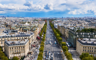 L’impact de la rénovation urbaine sur la gestion des nuisibles à Paris