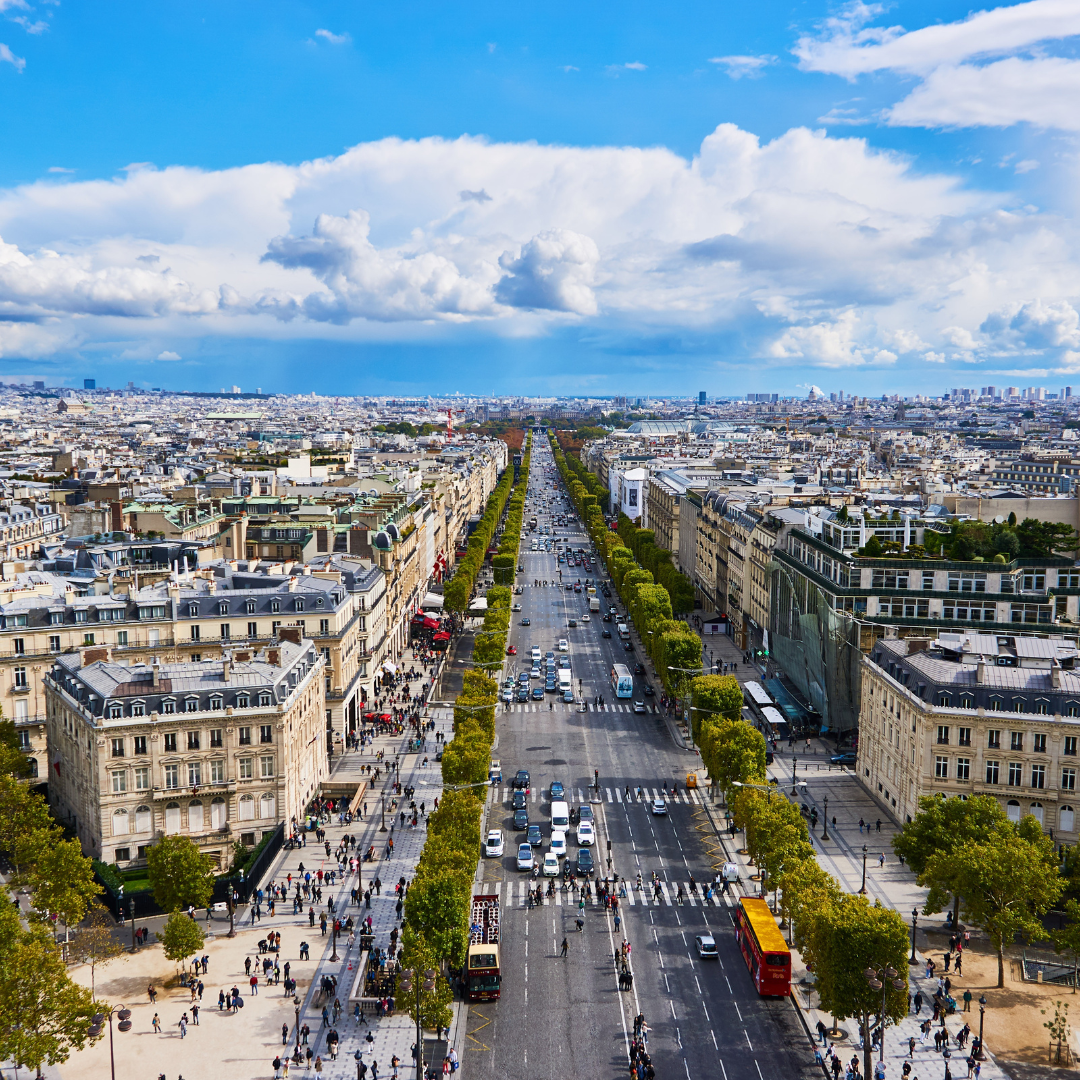 gestion des nuisibles à Paris