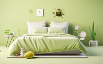 Prévenir les punaises de lit : conseils pour éviter une infestation