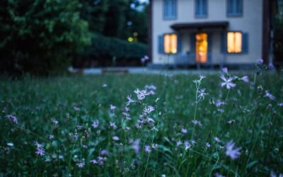 La Sécurité du Traitement Cryogénique pour Votre Maison