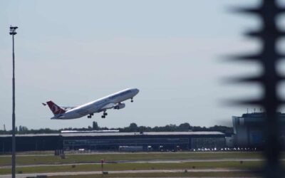 Comment une Entreprise Spécialisée Peut-elle Éliminer les Punaises de Lit dans un Avion ?