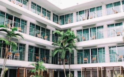 Lutter contre les infestations de parasites dans les chambres d’hôtel : Conseils pour les gestionnaires