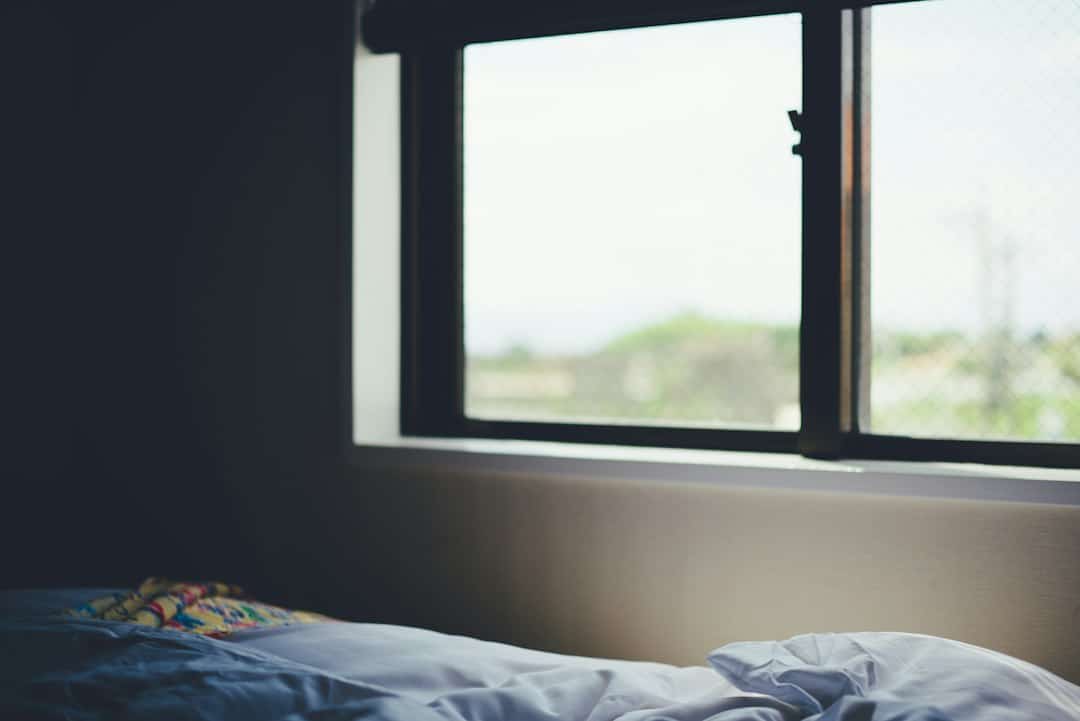 Effective Bed Bug Removal