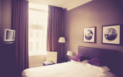 Les nuisibles : un danger pour la sécurité des clients dans les hôtels