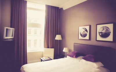 10. Succès de votre Hôtel : La dératisation comme clé principale