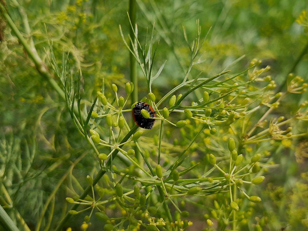 Impact of pests on resident satisfaction