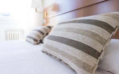 2. Comment éliminer les nuisibles de votre hôtel pour un séjour confortable