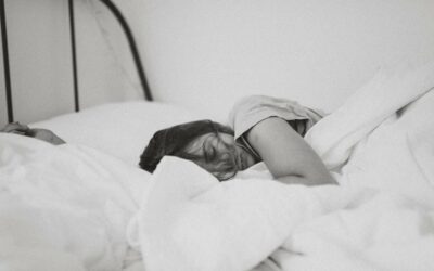Gérer les problèmes de punaises de lit dans les chambres d’hôtel : Conseils pour les gestionnaires