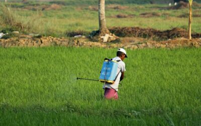 Lutte antiparasitaire dans les hôtels : Comment maintenir un environnement sain pour vos clients