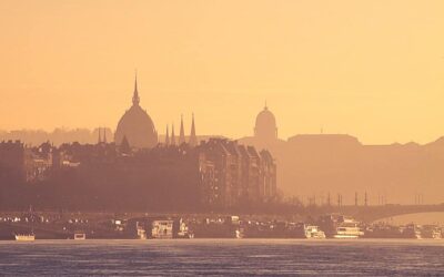 6. Pourquoi l’élimination des nuisibles est-elle cruciale pour votre restaurant?