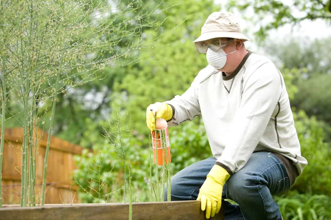 Parasite Infestation Remedies