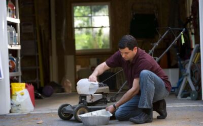 Lutter contre les nuisibles : un défi pour les propriétaires