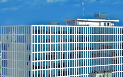 Guide de dératisation pour une expérience client optimale dans votre hôtel