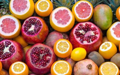 Sécurité Alimentaire et Désinsectisation en 2024: Un Guide pour les Restaurateurs