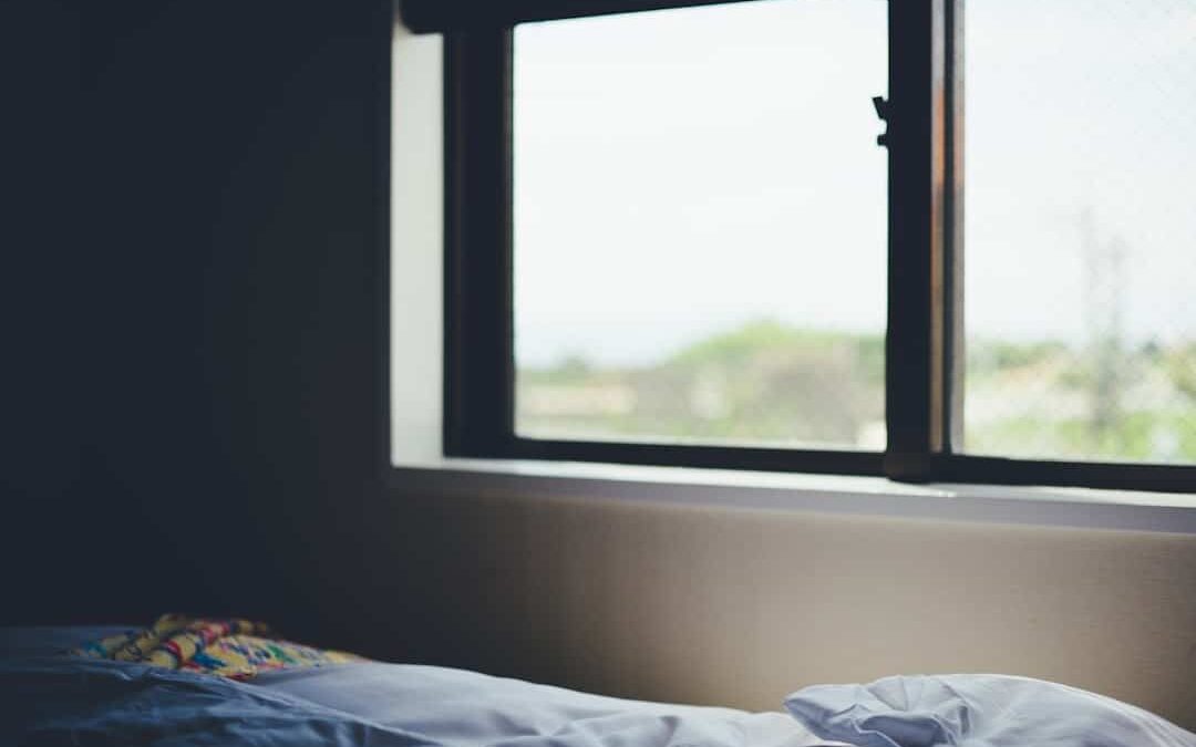 13. La lutte contre les punaises de lit dans les hôtels : des normes d’hygiène aux pratiques d’éradication